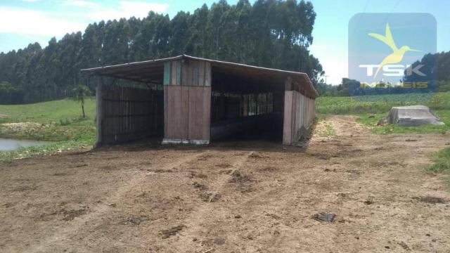 Fa0009 fazenda à venda, 605000 m² por r$ 3.150.000 - zona rural - quitandinha/pr - Foto 15
