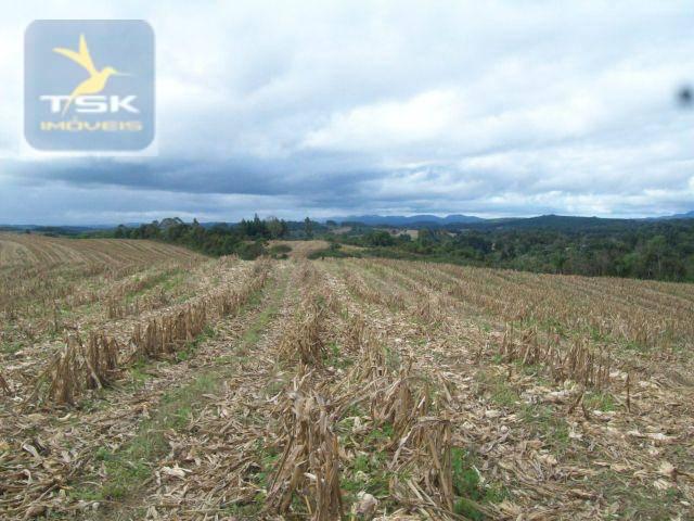 Fazenda em quitandinha - (cerrinho) - - Foto 13