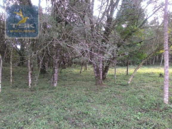 CH0300 - Chácara Agudos do Sul 12.100 m² 3 km da cidade - Foto 2