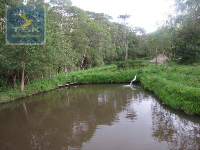 São josé dos pinhais chácara 15.000 m² aqui eu vou ficar ch0159 - Foto 7