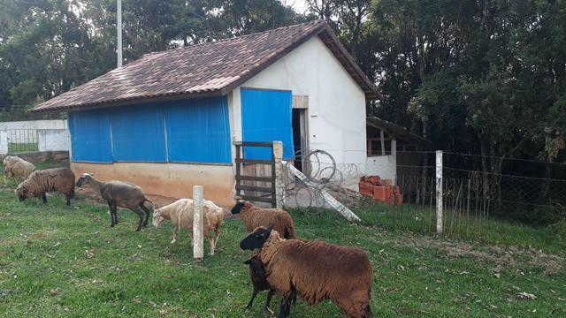 Chácara para lazer - 24000 m² por r$ 749.000,00 - chimboveiro - mandirituba/pr - Foto 17