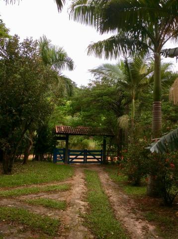 Sitio 88.000m2 - Rio Mole - Saquarema - Foto 11