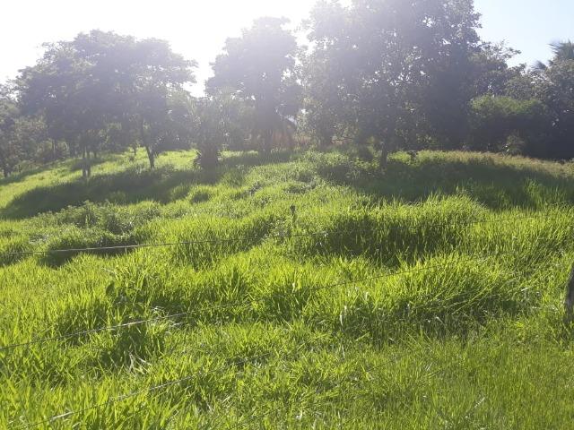 Vendo uma chácara, de 54 hectares em chapada - Foto 3