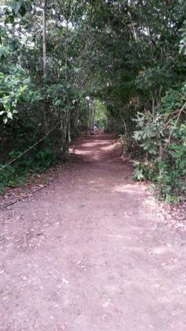 Chácara na Beira do Rio Cuiabá - Barranco alto II - Somente contrato de compra e venda - Foto 18
