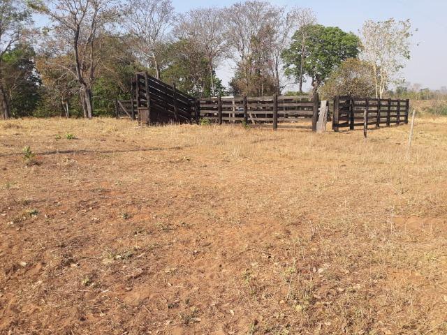 Vendo uma chácara, de 54 hectares em chapada - Foto 15