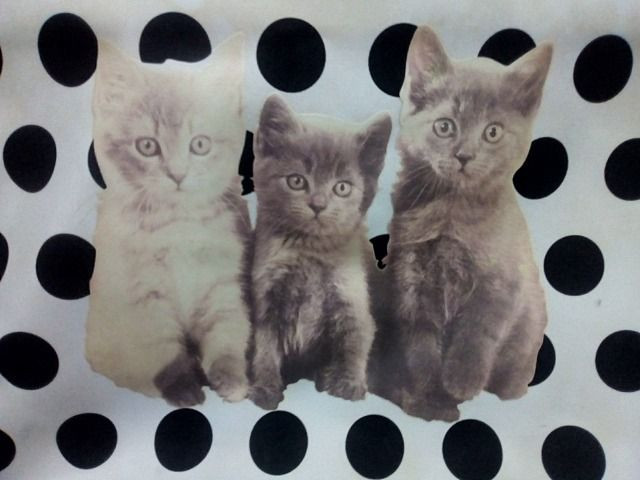 Bolsa Vinil Felinos - Foto 5