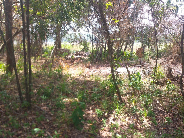Vendo terreno - Foto 2