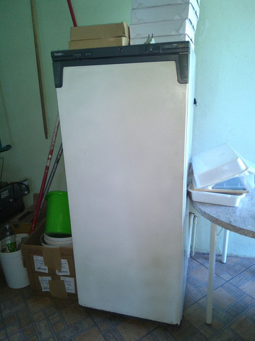 Freezer vertical