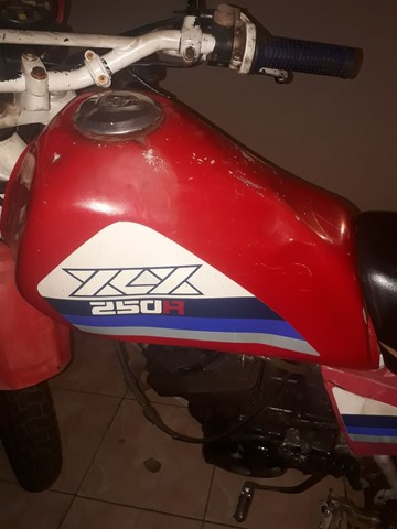 XLX 250