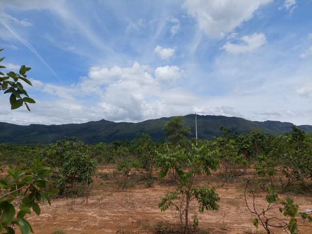 Fazenda de 959 alqueires em Cavalcante Go - Foto 4