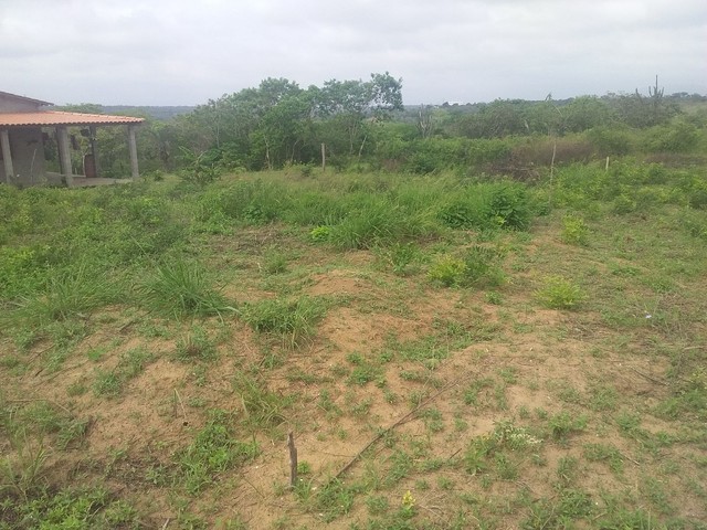 Vendo esse lote na estrada da candeia grossa no distrito da matinha 