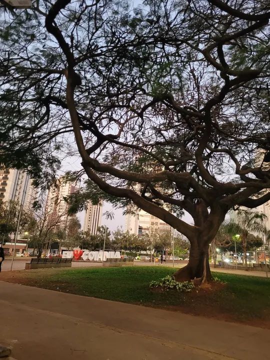 foto - Goiânia - Setor Oeste