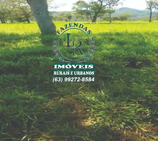 Fazenda 700 Alqueires no Tocantins com Maquinários