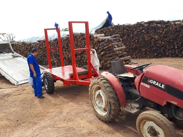 Carreta Agrícola basculante Hidráulica pra  3 toneladas e 7 toneladas - Foto 5