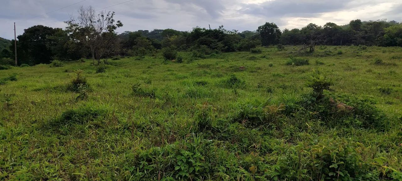 Chácara em Cezarina  - Foto 3