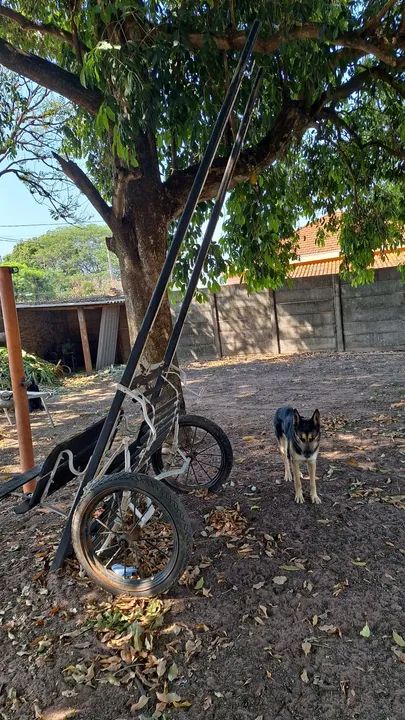 Charrete aro 21 - Foto 4