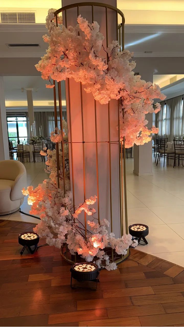 Som e iluminação para cerimônia 1