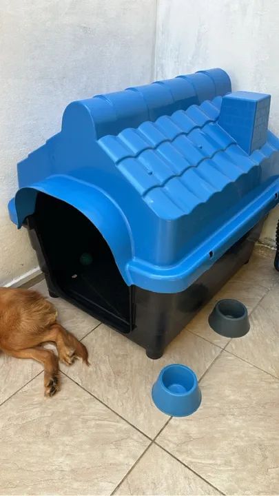 Casinha para Pet - Foto 2