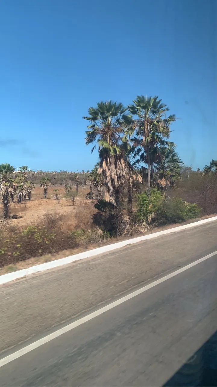 Alugo Casa à beira-mar com piscina na Praia de Zumbi - Foto 15