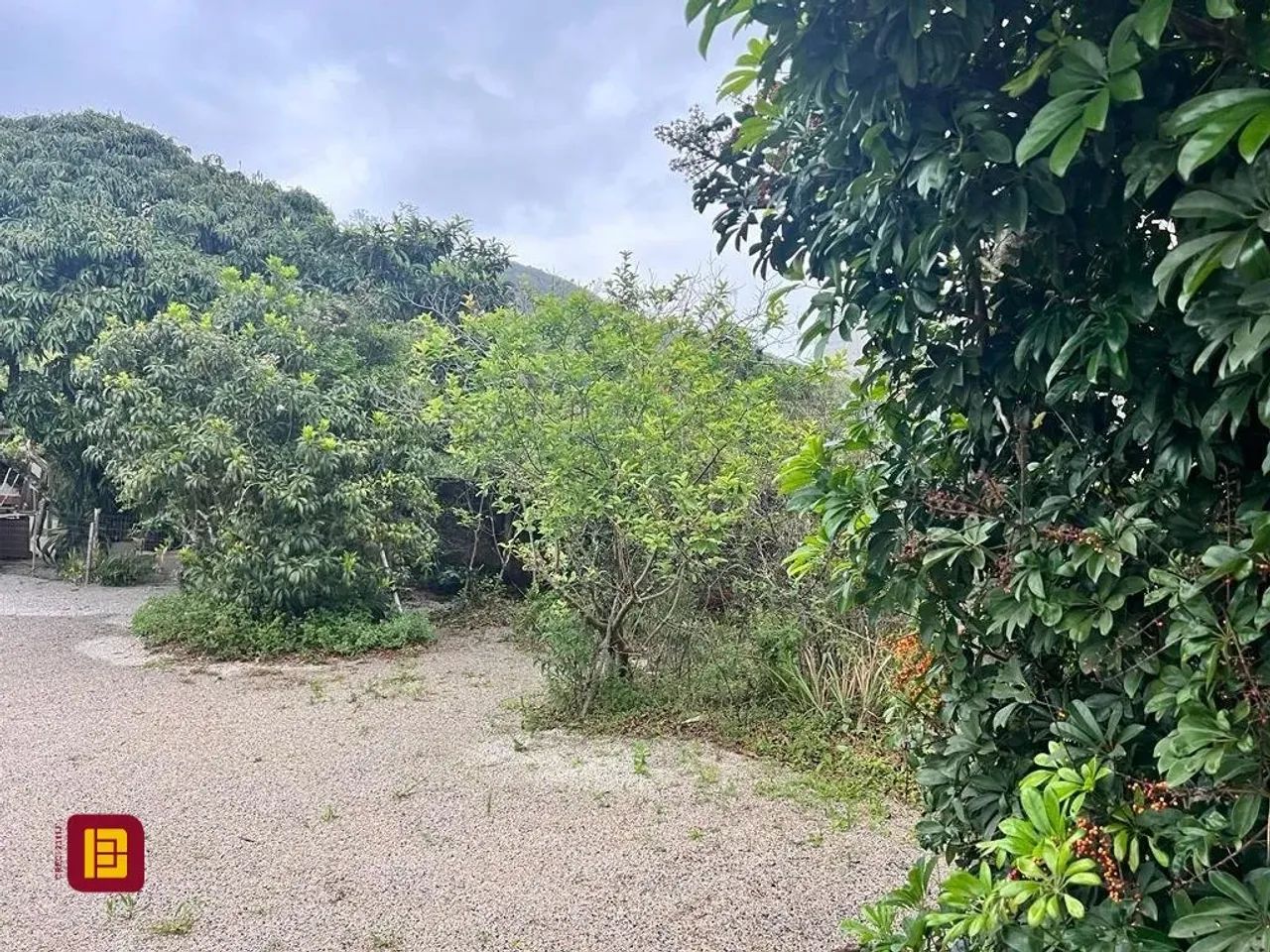 Terreno Comercial/Residencial em Alto Ribeirão - Foto 4