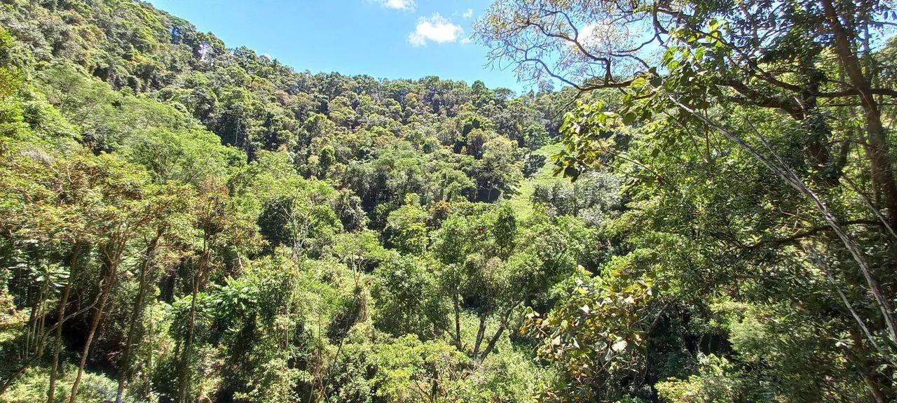 Incrível Fazenda em Alagoa-MG !! - Foto 4