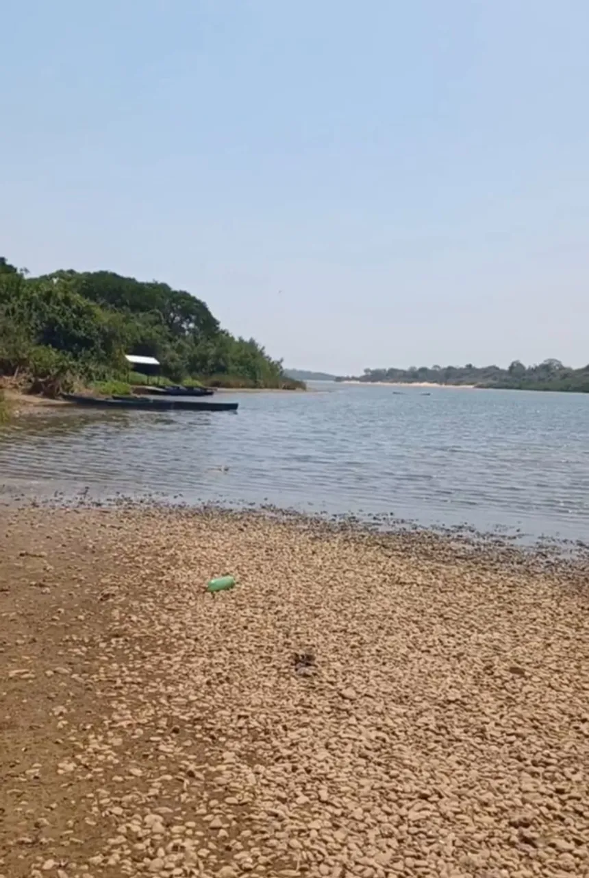 Vendo lote com acesso ao Araguaia 