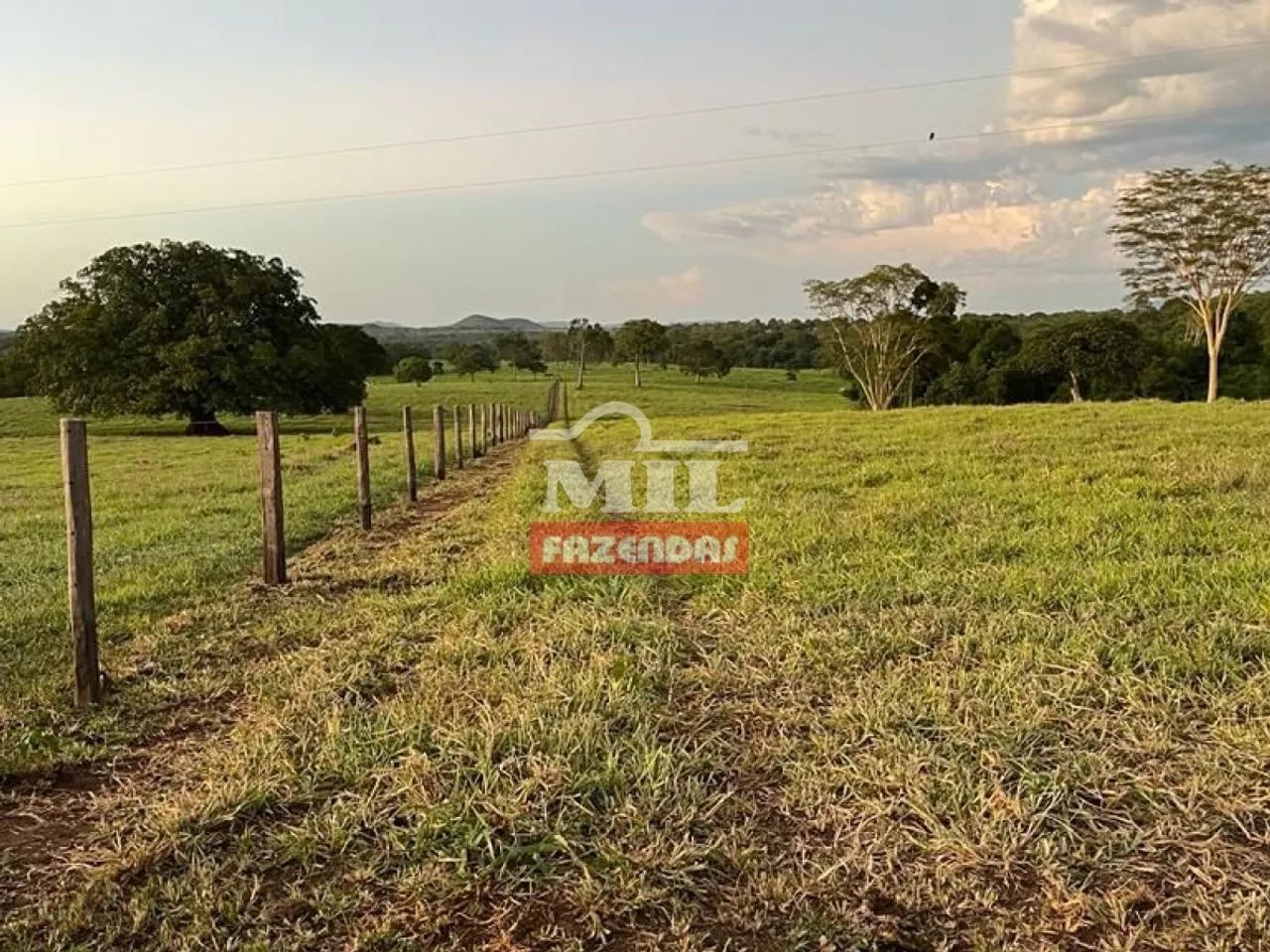 Fazenda 100 Alqueires (484 Hectares) Porangatu - GO - Foto 4