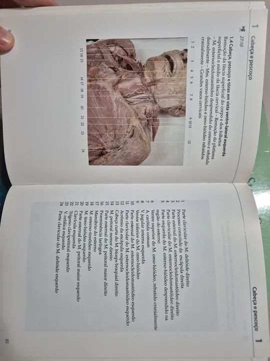 Livros de Enfermagem, Farmacologia, Anatomia, Eletrocardiograma e Anatomia Fotográfica - Foto 3