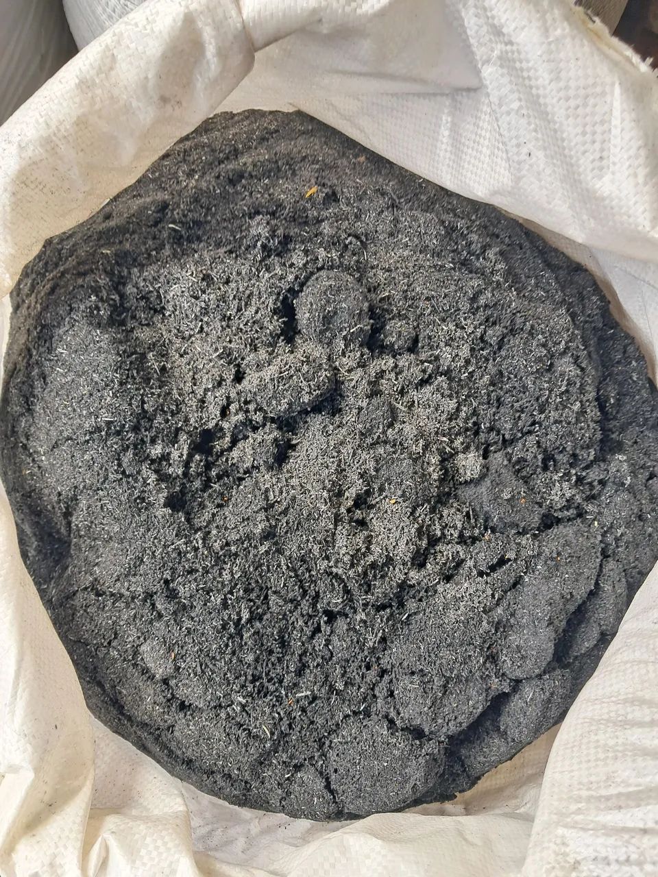 PALHA ARROZ QUEIMADA CURTIDA e CRUA - Foto 2