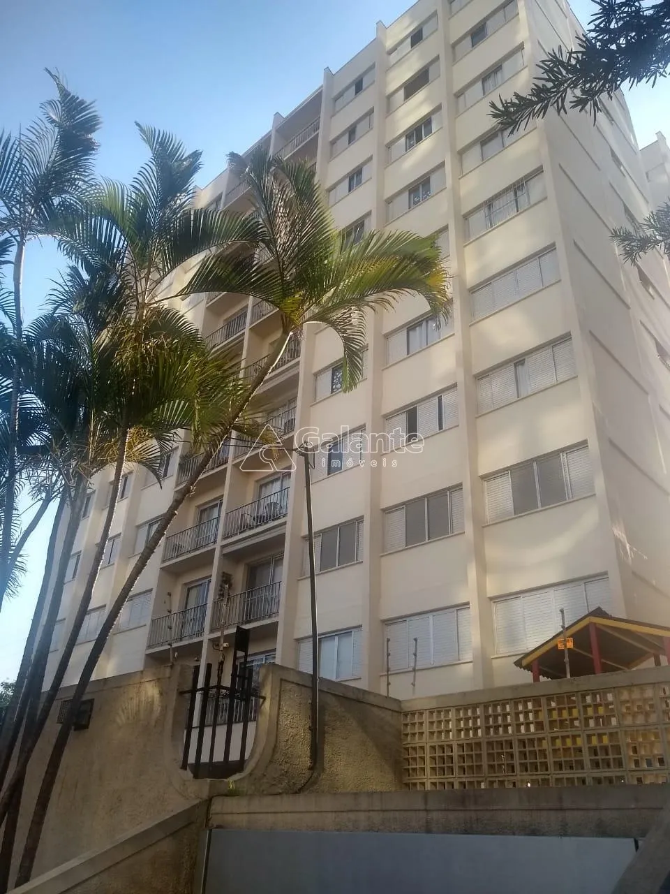 apartamento - Cambuí - Campinas