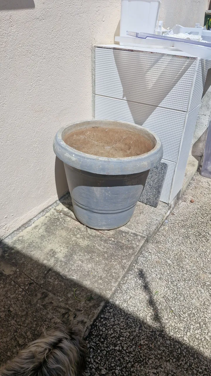 Vaso de Planta Grande