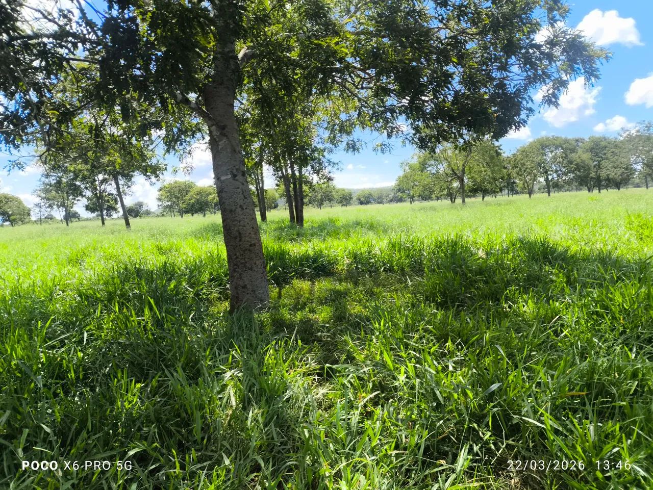 Fazenda/ Terreno rural - Foto 2