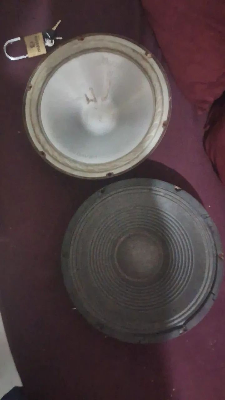 2 12-inch Speakers