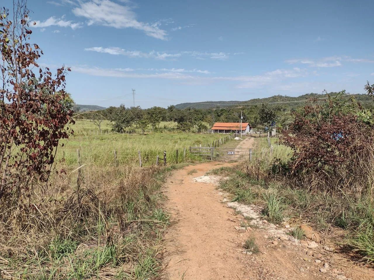 Venda Chácara Sítio Zona rural TO - Foto 4