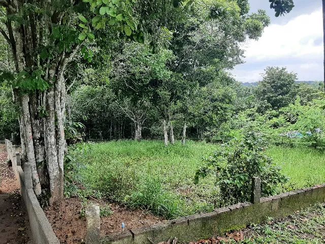 Terreno em Aldeia (700m2) - Foto 3