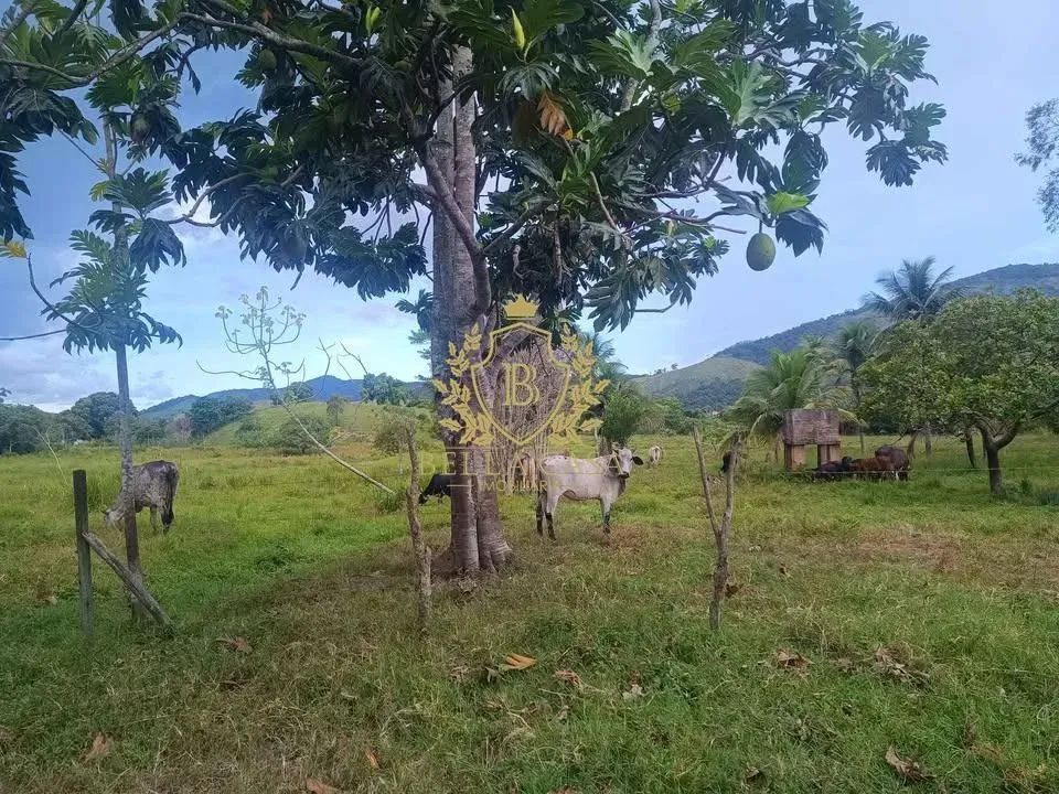 Sabor Rural Rio Bonito Excelente oportunidade de investimento em área rural Rio Bonito/RJ ...