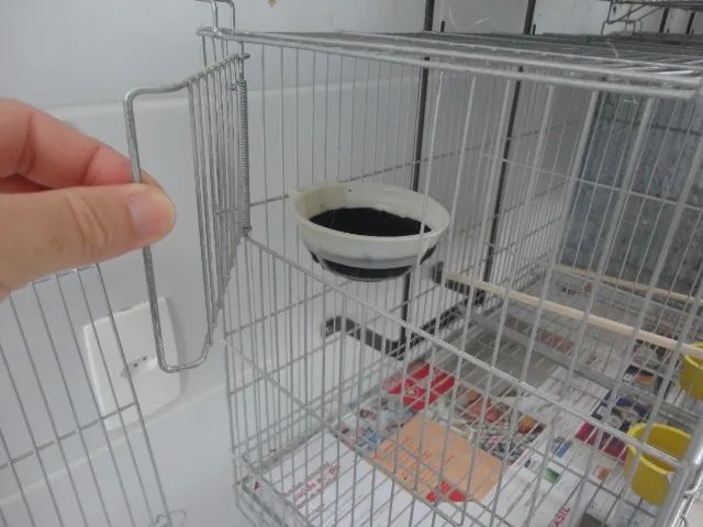 GAIOLA CRIADEIRA PARA CANÁRIOS DE COR E PORTE, AGOPORNIS, PERIQUITOS,ETC... - Foto 3