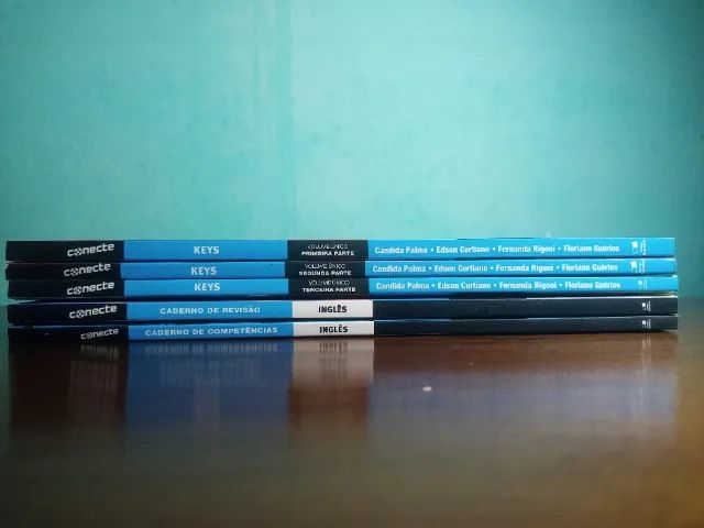 Conecte Lidi Inglês