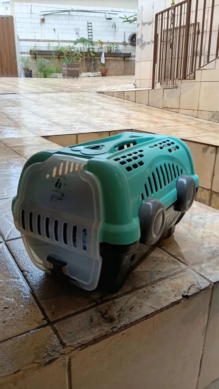 Caixa de Transporte para Cães