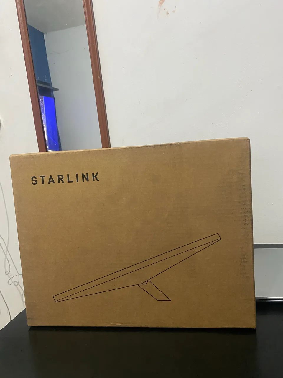 Starlink mini 