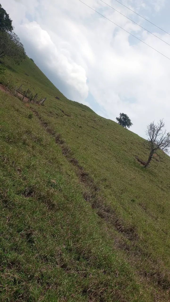Terreno grande e barato com mina de água  - Foto 4