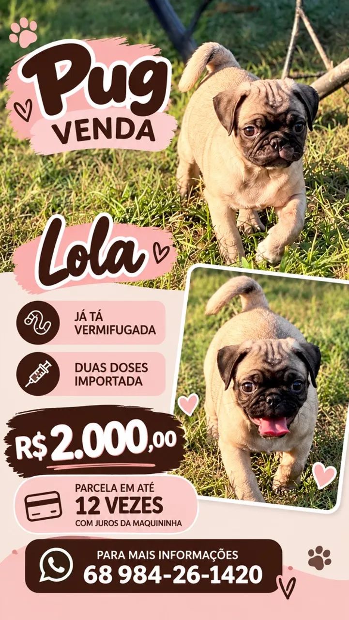 Pug