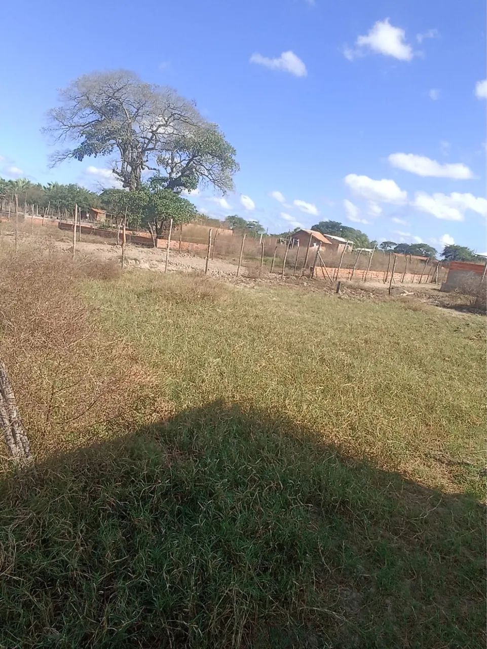 Terreno  - Foto 2