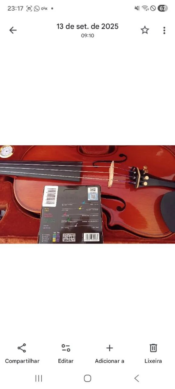 Violino Eagles vk 844 ajustado