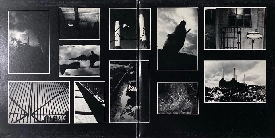 Pink Floyd Animals colecionável Raro - Foto 3
