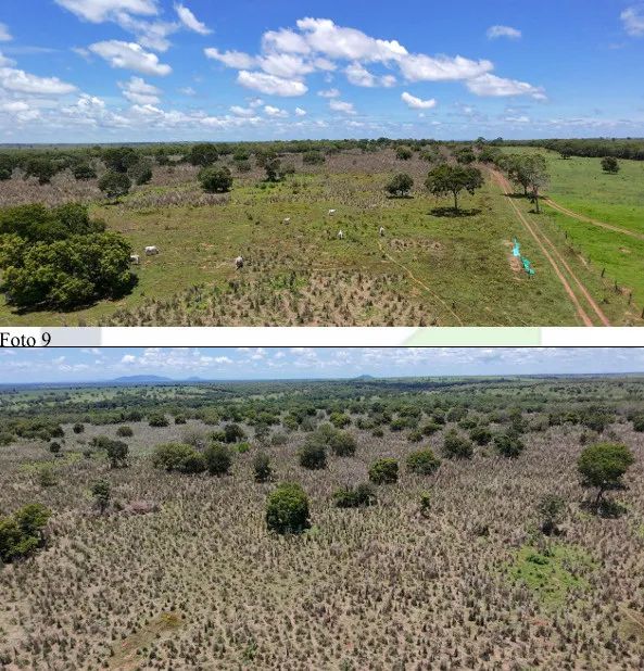 Imóvel rural no Zona Rural em Araguçu - Foto 3