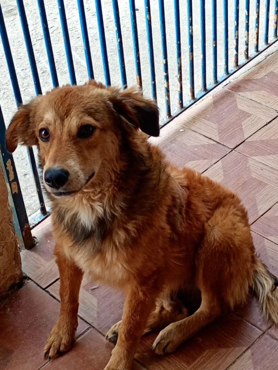 Doação  - Foto 2