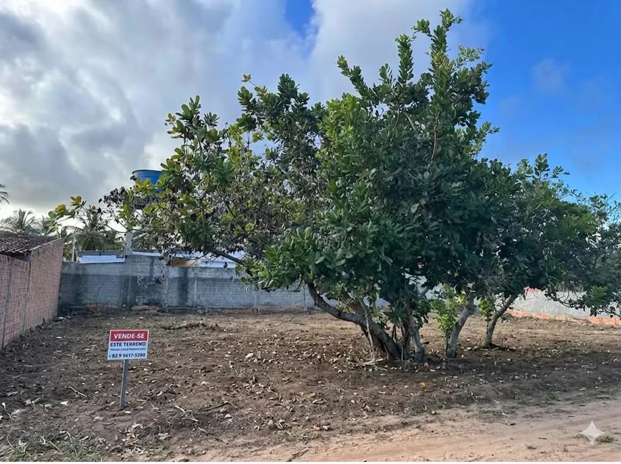Terreno no peba ( pontal do peba) - Foto 3