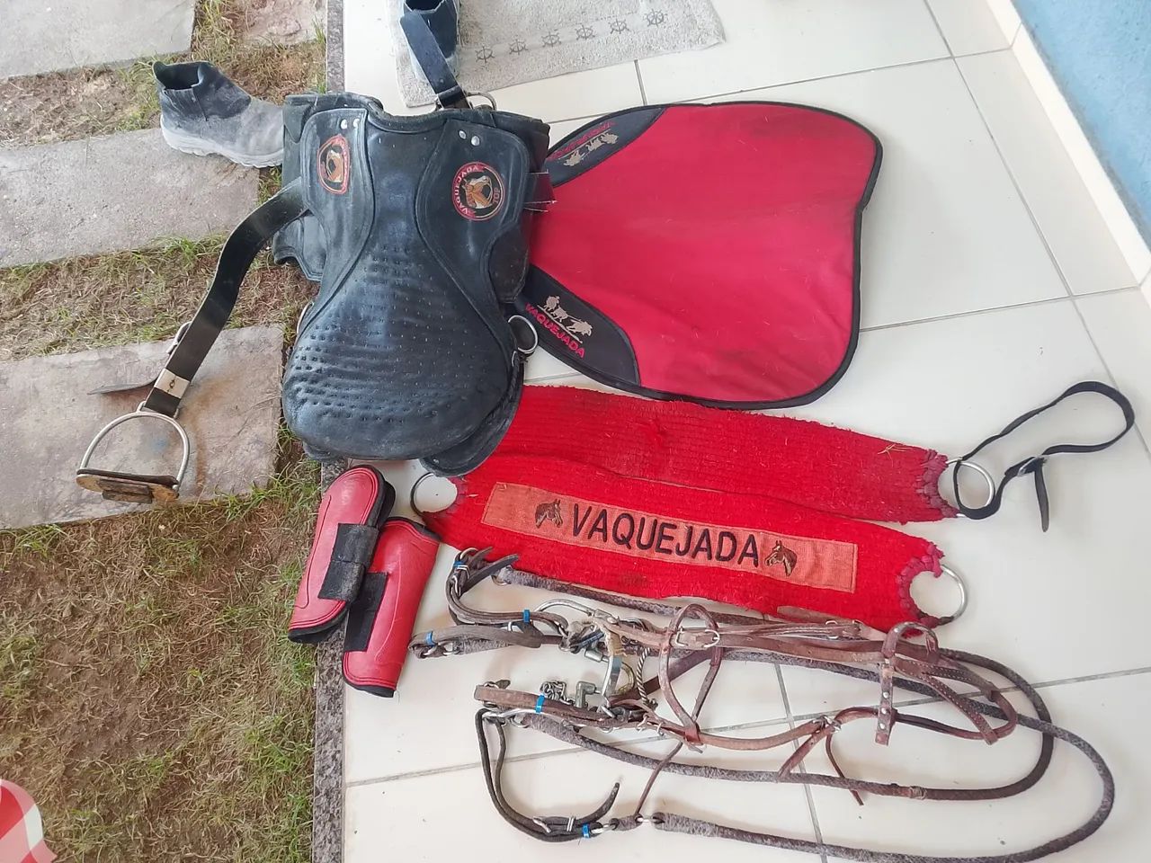 Cela em bom estado  - Foto 2