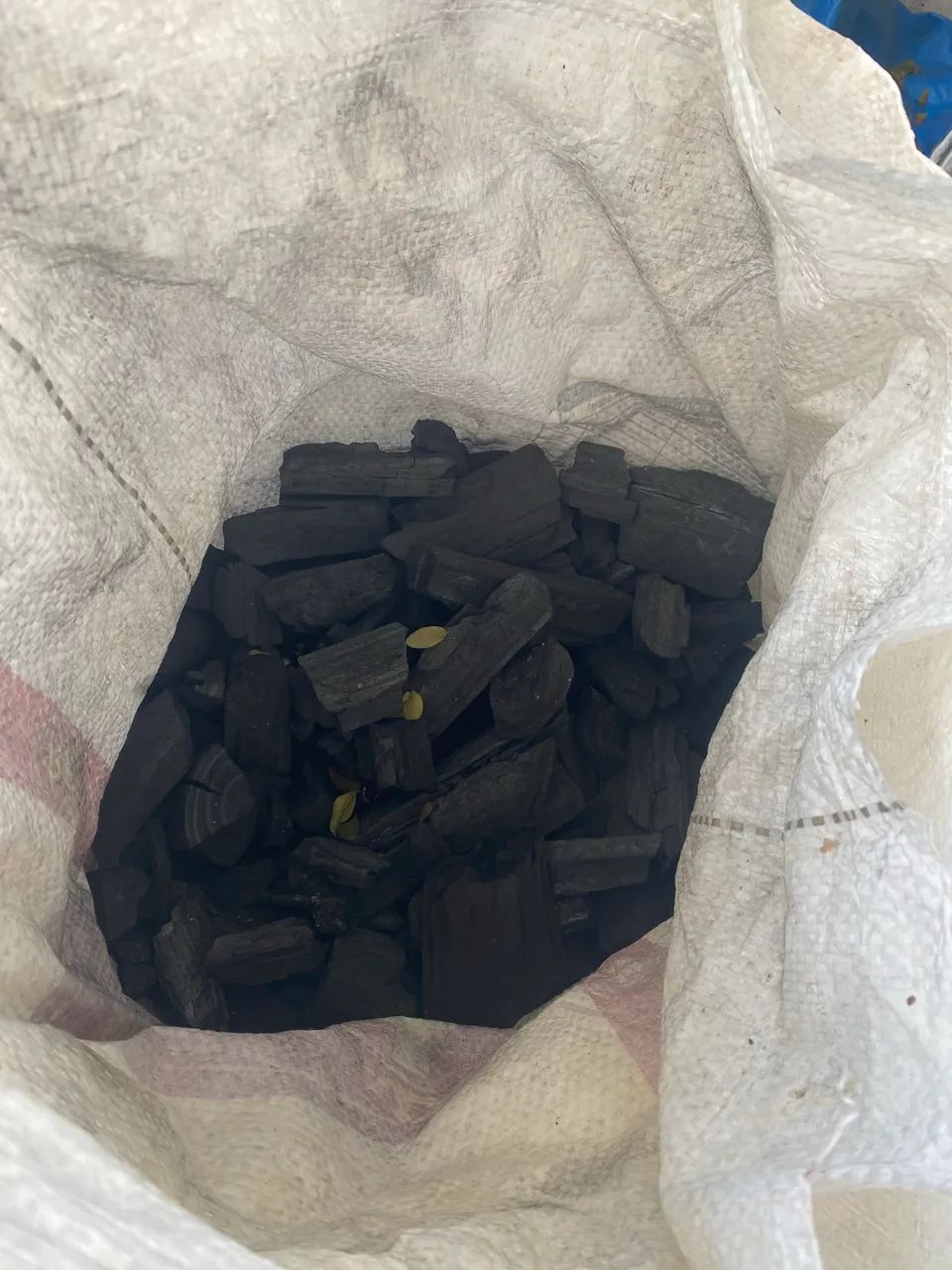 Carvão 10kg eucalipto 
